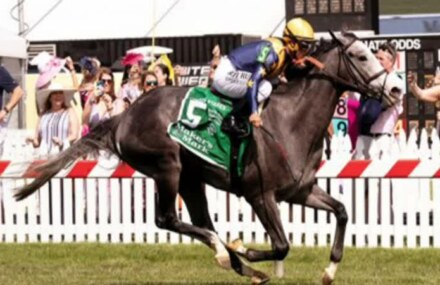 Graded stakes at Churchill Downs and Santa Anita top weekend racing