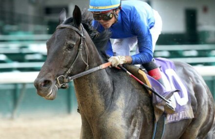 Maxfield back in Kentucky Derby picture