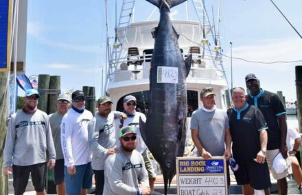 Michael Jordan, crew reel in 442-pound marlin in Big Rock tournament