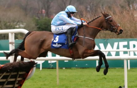 Honeysuckle wins Irish Champion Hurdle again