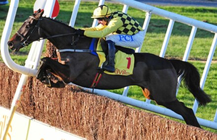 Al Boum Photo ‘in great shape’ as Gold Cup bid looms