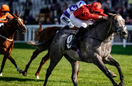 Silver Quartz seeking Mile gold at Lingfield